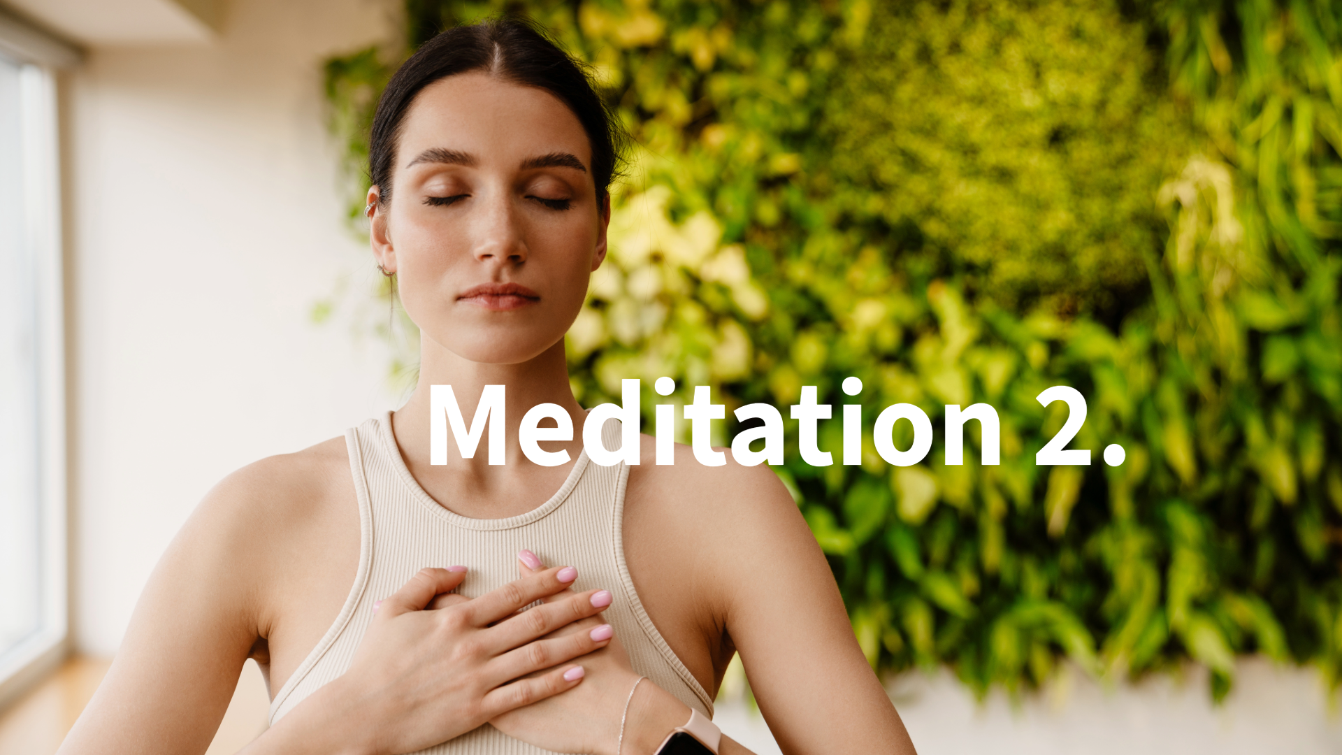 Meditatio 2. english